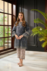 DC-2283 BLUE 2PCS EMBROIDERED KURTA WITH TROUSER