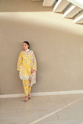 SS25DD-2534 MULTI DUPATTA