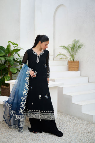 DA-2196 BLACK 2PCS  EMBROIDERED KURTA WITH TROUSER