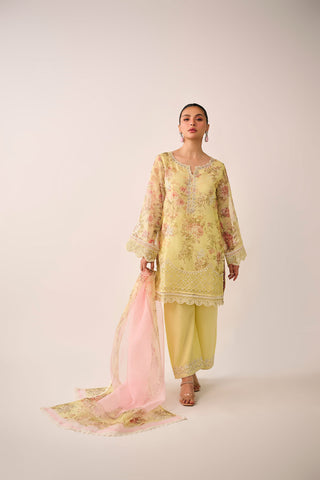 SS24DD-2466  MULTI DUPATTA