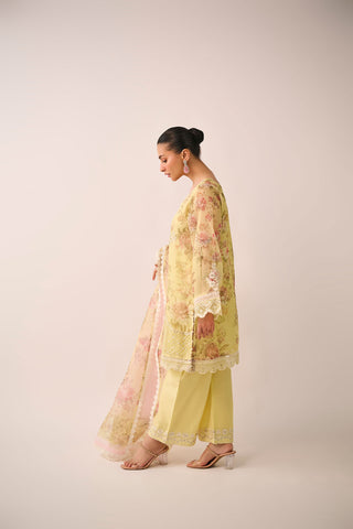 SS24DD-2466  MULTI DUPATTA