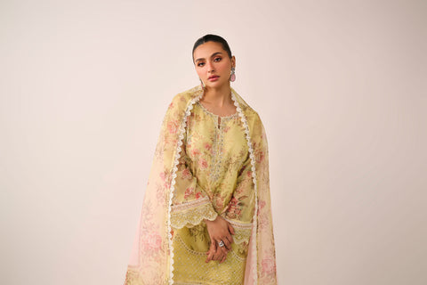 SS24DD-2466  MULTI DUPATTA