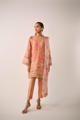 SS24DD-2477  RUST DUPATTA