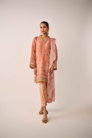 SS24DD-2477  RUST DUPATTA