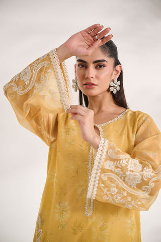 SS24DA-2476   YELLOW  2PCS  EMBROIDERED KURTA WITH TROUSER