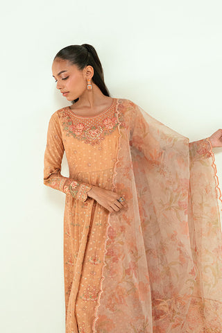 SS25DA-2694 ORANGE  2PCS EMBROIDERED PISHWAS WITH TROUSER