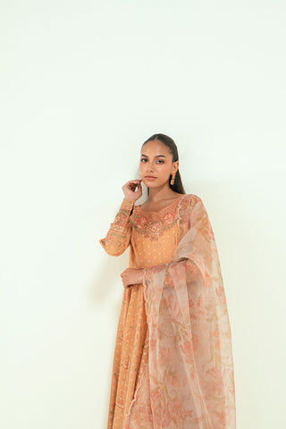 SS25DA-2694 ORANGE  2PCS EMBROIDERED PISHWAS WITH TROUSER
