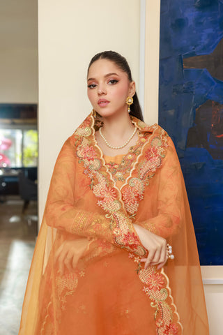 SS25DA-2716 ORANGE 2PCS EMBROIDERED KURTA WITH TROUSER