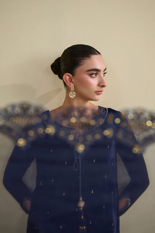 FW25DD-2810  NAVY BLUE  EMBROIDERED  DUPATTA