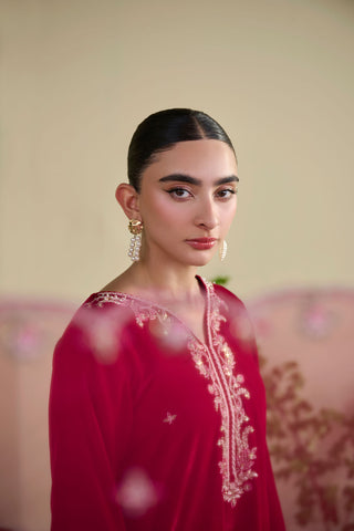 FW25DD-2820  MAROON  EMBROIDERED  DUPATTA