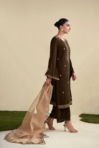 FW25DA-2821   BROWN  2PCS  EMBROIDERED KURTA WITH TROUSER