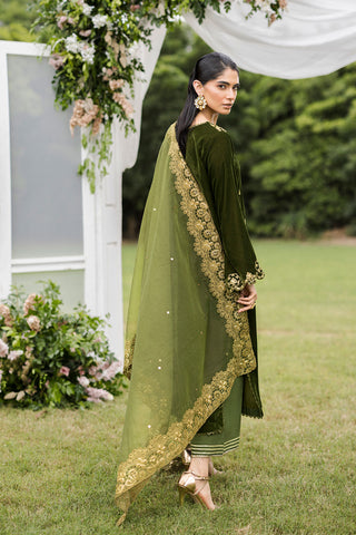 FW25DD-2831  OLIVE GREEN  EMBROIDERED  DUPATTA