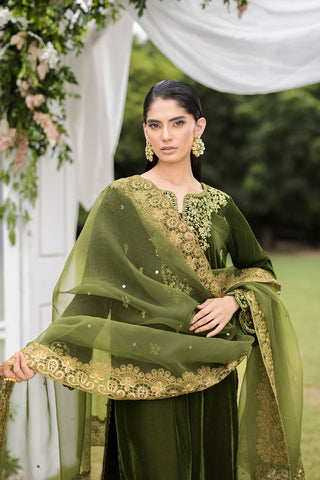 FW25DD-2831  OLIVE GREEN  EMBROIDERED  DUPATTA