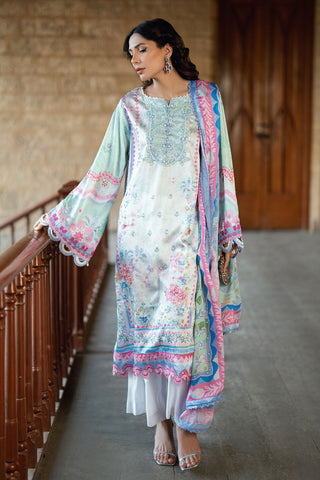 SS26DD-2899  MULTI DUPATTA