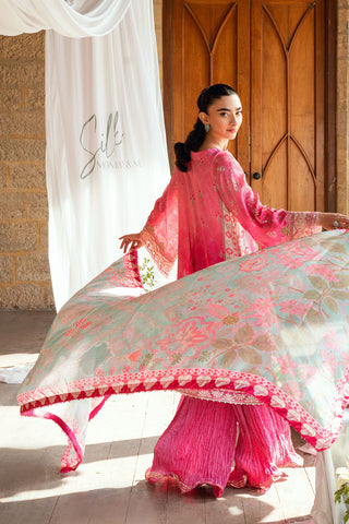 SS26DD-2900  MULTI DUPATTA