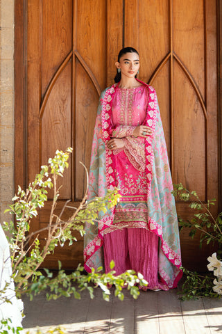 SS26DD-2900  MULTI DUPATTA