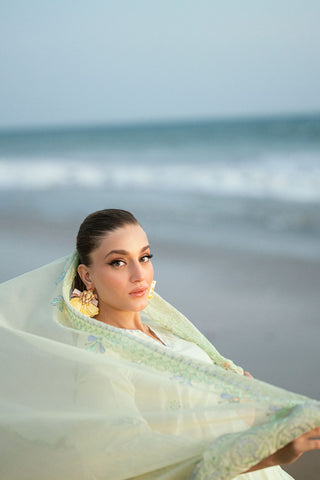 SS25DD-2541 LEMON YELLOW  EMBROIDERED DUPATTA