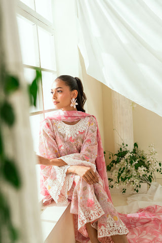 SS25DD-2552  PINK DUPATTA
