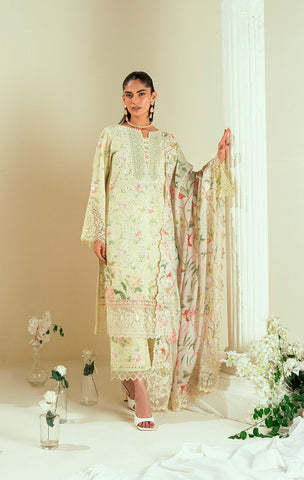 SS25DD-2550  OFF WHITE DUPATTA