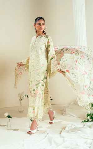 SS25DD-2550  OFF WHITE DUPATTA