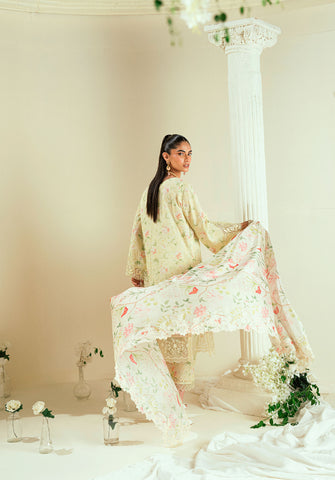 SS25DD-2550  OFF WHITE DUPATTA
