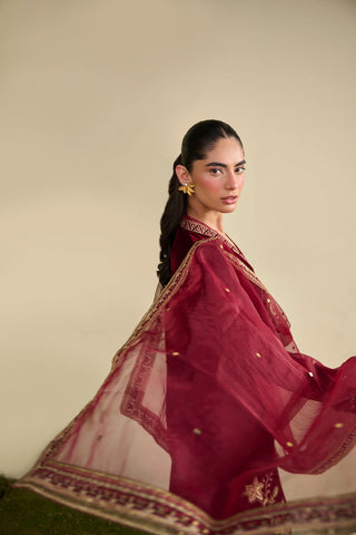 FW25DD-2832  MAROON  EMBROIDERED  DUPATTA
