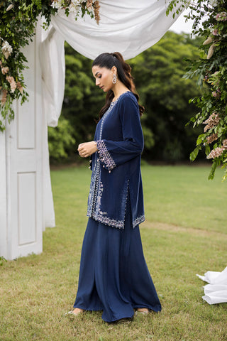 FW25DA-2834   GREY  2PCS  EMBROIDERED KURTA WITH TROUSER