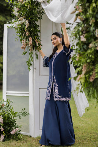 FW25DA-2834   GREY  2PCS  EMBROIDERED KURTA WITH TROUSER