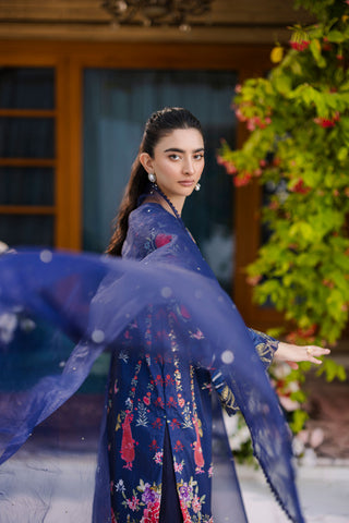 FW25DD-2875  NAVY BLUE DYED DUPATTA