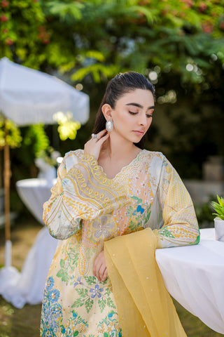 FW25DD-2867  YELLOW DYED DUPATTA