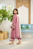 DC-2087 MOUVE 3Pcs