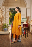 DC-3008 ACRYLIC ORANGE  3Pcs
